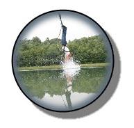 Saut à l'élastique .